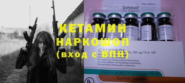 spice Богородицк