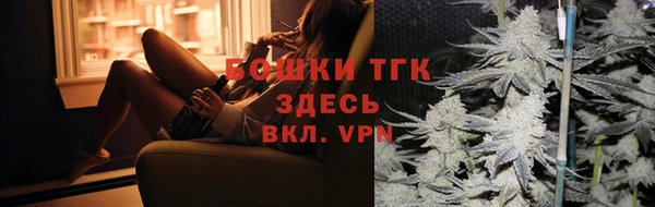 spice Богородицк