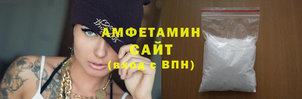 spice Богородицк