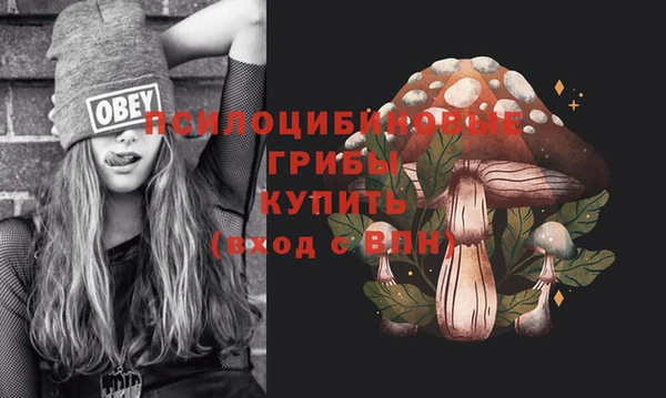 spice Богородицк