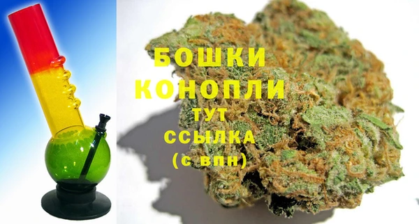 стафф Богданович