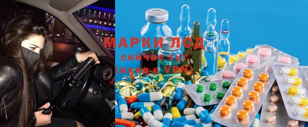 стафф Богданович