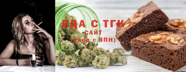 spice Богородицк
