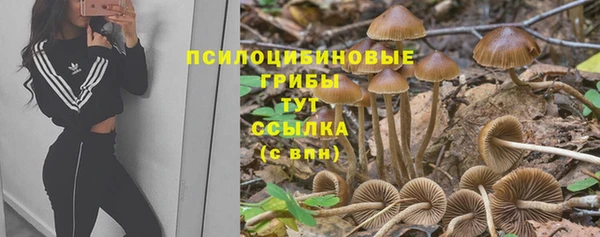 стафф Богданович