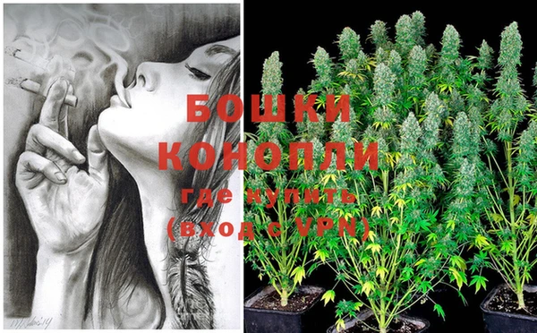 стафф Богданович