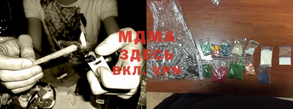 spice Богородицк
