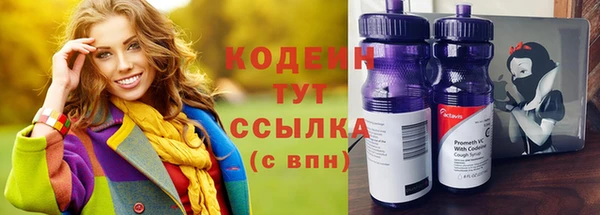spice Богородицк